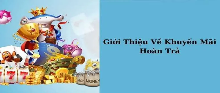 Những Điều Cần Biết Về Hoàn Trả Hàng Ngày Tại Nhà Cái TOPBET379