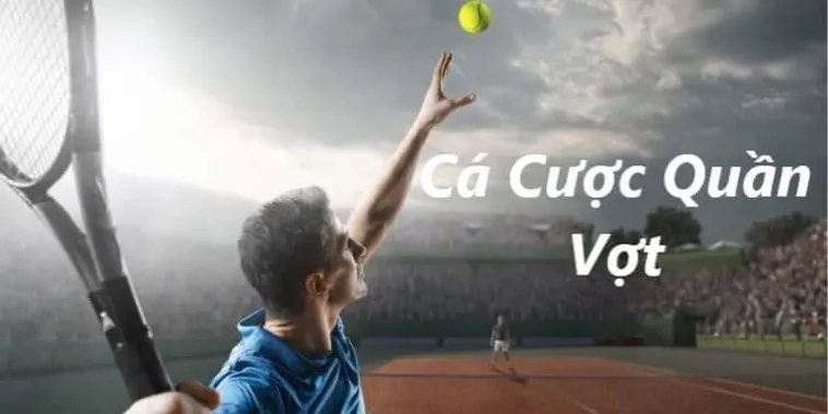 Khám Phá Cá Cược Quần Vợt Vin68: Cập Nhật Mới Nhất 2025